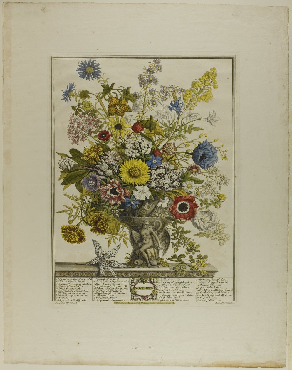 November, från Tolv månader av blommor av Henry Fletcher