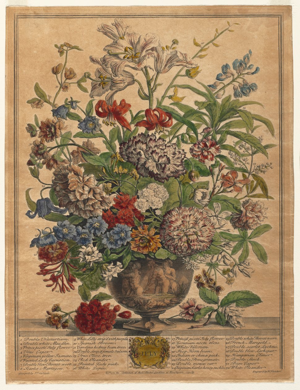 Tolv månaders blommor: juli 1730. av Henry Fletcher