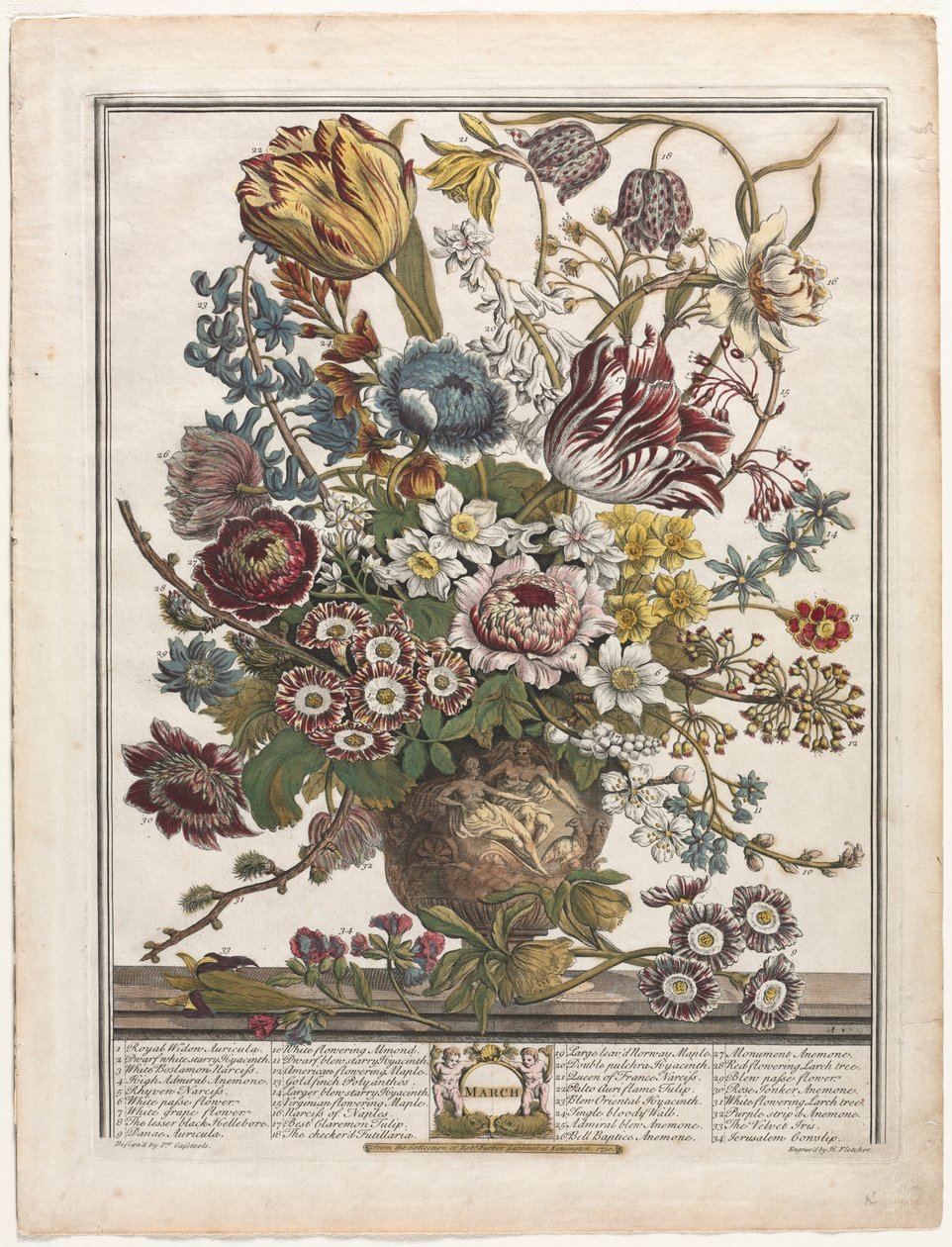 Tolv månaders blommor: mars 1730. av Henry Fletcher