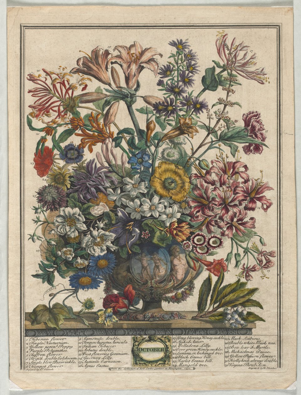 Tolv månader av blommor:  Oktober av Henry Fletcher