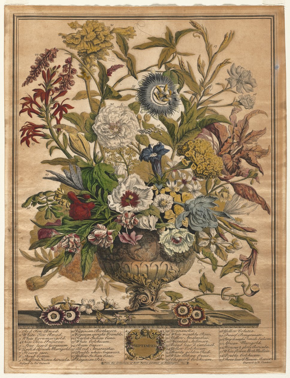 Tolv månaders blommor: september av Henry Fletcher