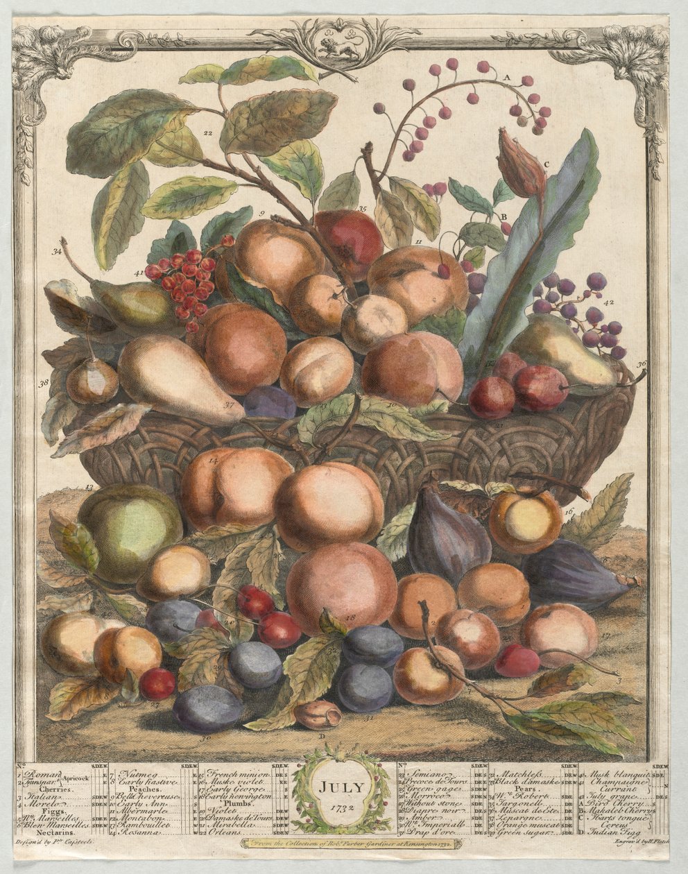Tolv månaders frukt: juli 1732. av Henry Fletcher