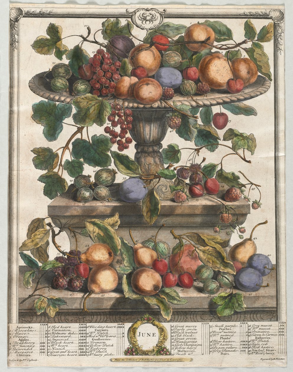 Tolv månaders frukt: juni 1732. av Henry Fletcher
