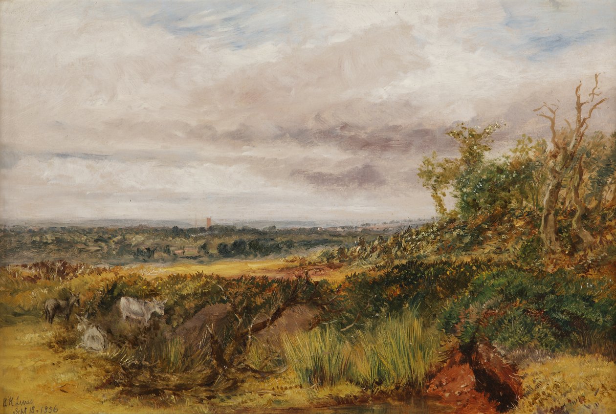 Landskap, 1856 av Henry Harris Lines