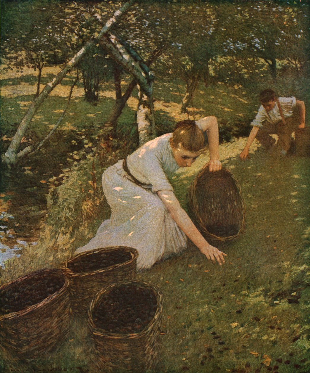 Samla plommon, 1901, c1930. av Henry Herbert La Thangue