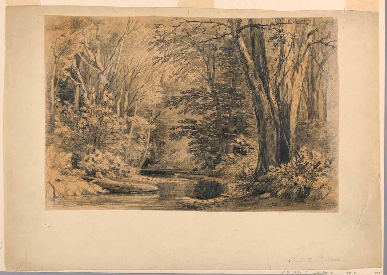 Teckning, En bäck i skogen, 1854 av Henry Hitchings