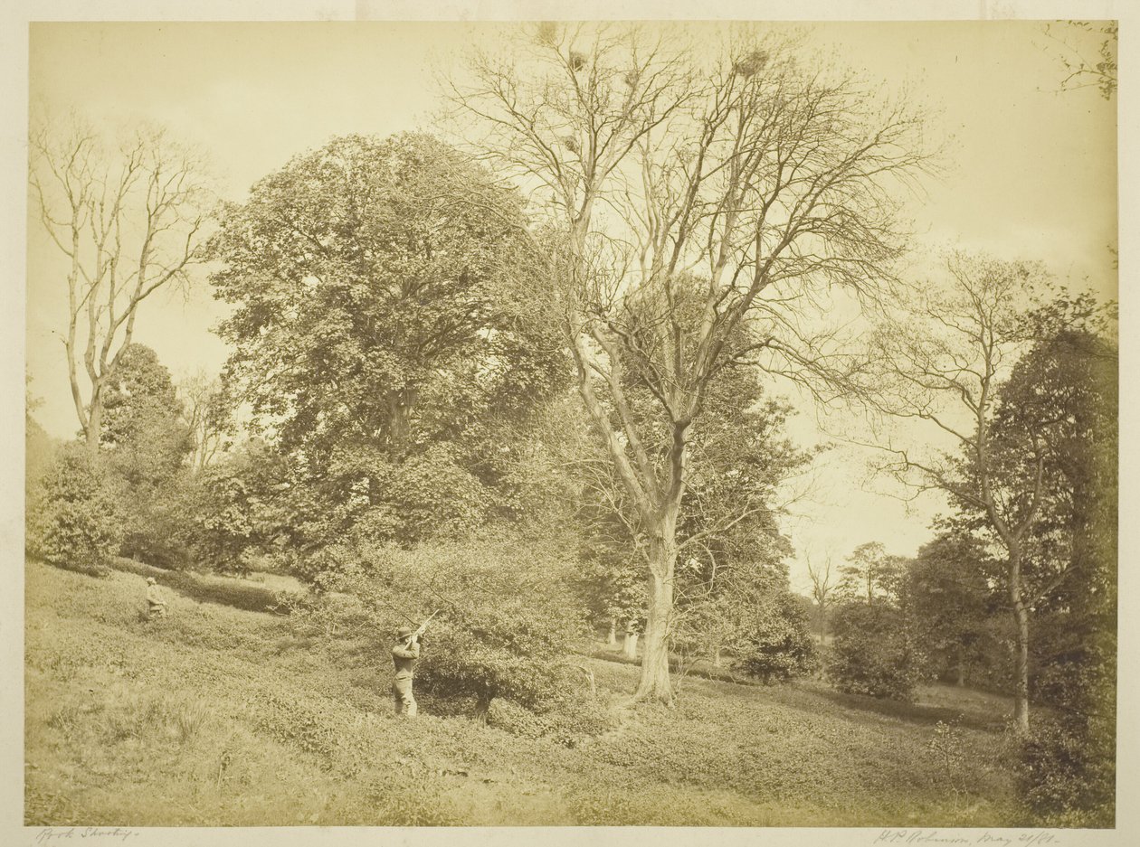 Rook Shooting av Henry Peach Robinson