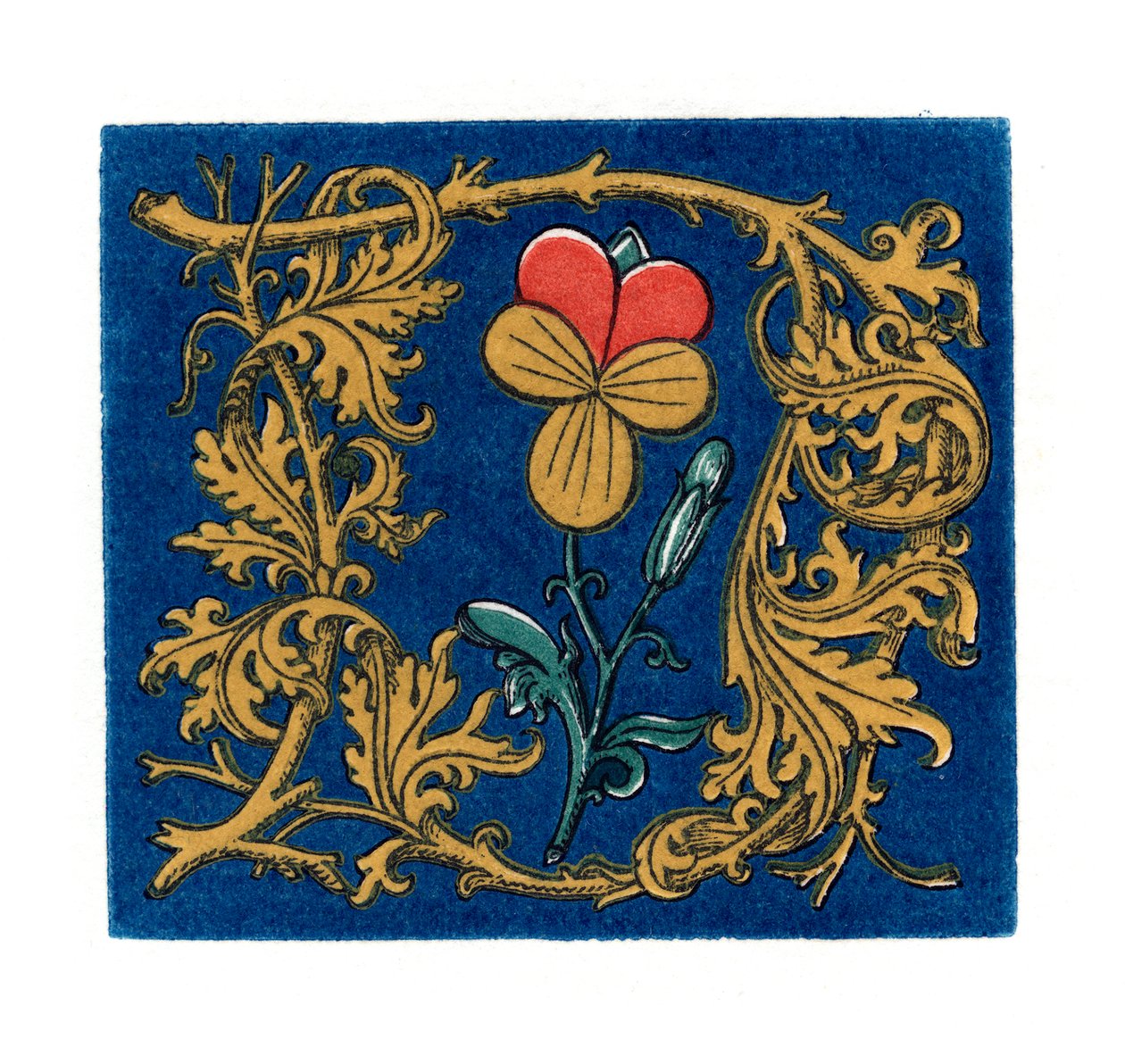 Inledande bokstav D, 1843. av Henry Shaw