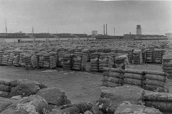 Moody Compress, Galveston (s/v foto) av Henry Stark