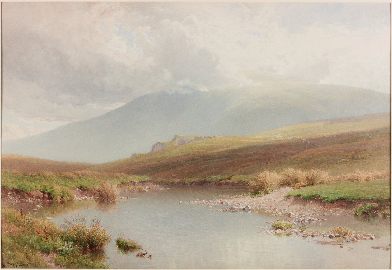 swedish av Henry Sutton Palmer