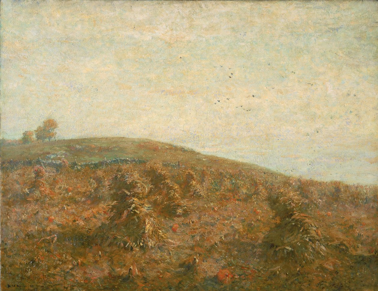 Majsfältet av Henry Ward Ranger