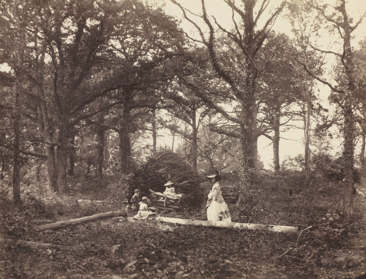 Landskap av Henry White
