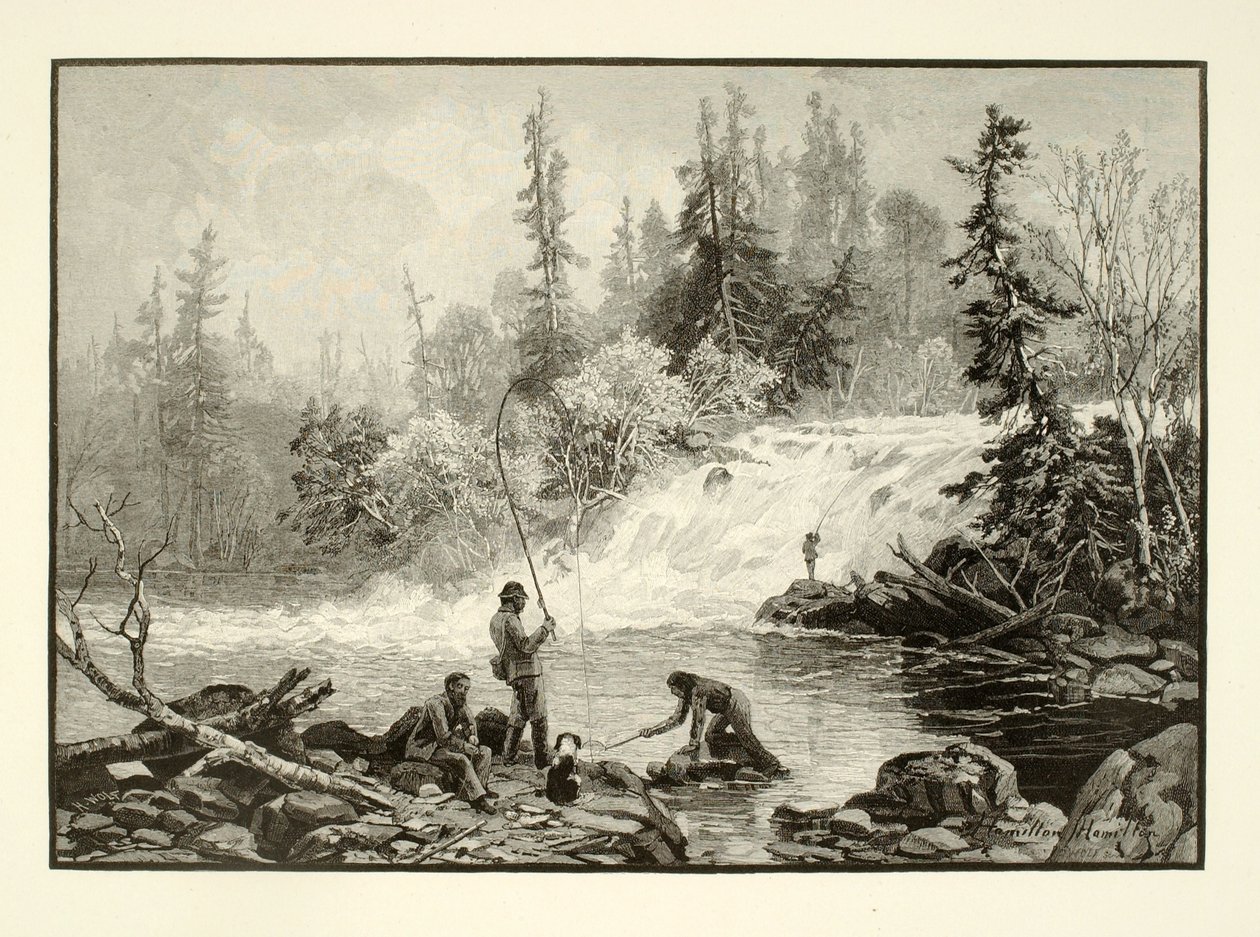En öringpool på Nepignon av Henry Wolf