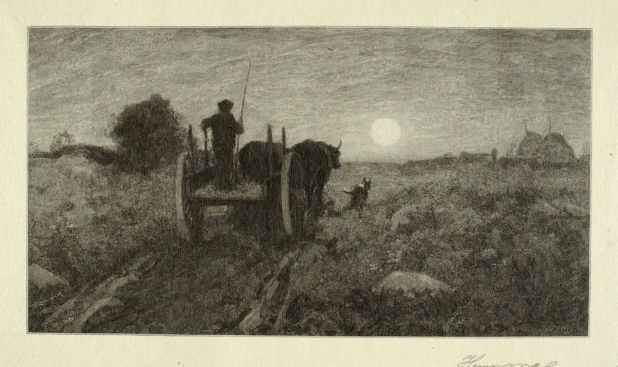 Hemåt av Henry Wolf