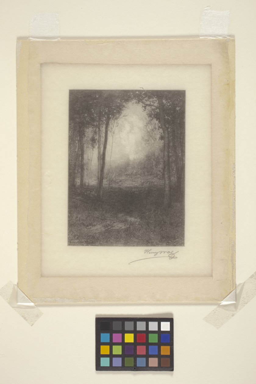 In The Adirondacks (bläck) av Henry Wolf