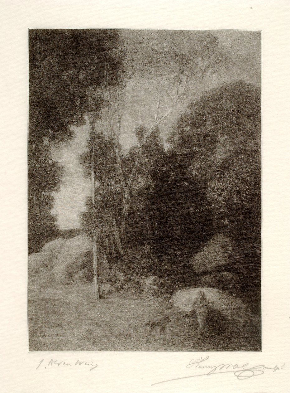 Pan och vargen av Henry Wolf