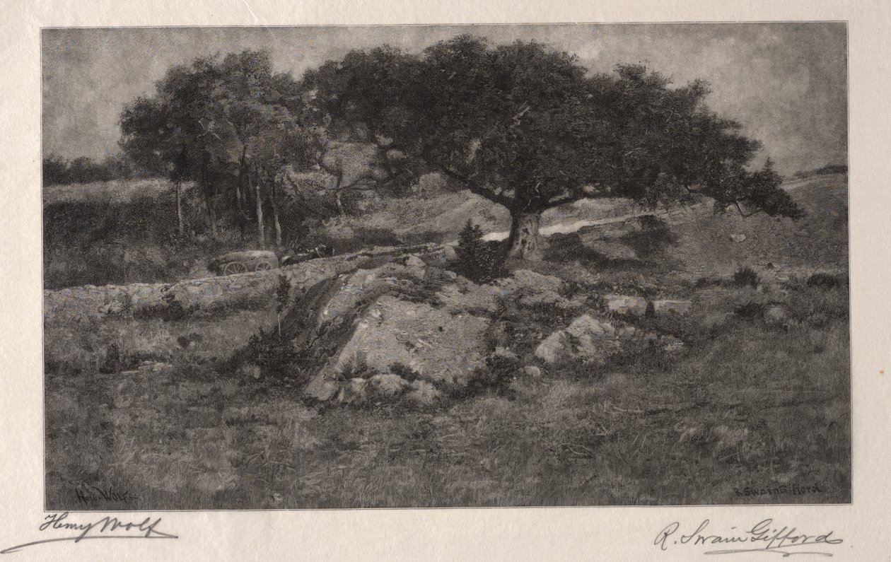 Vägkanten. av Henry Wolf