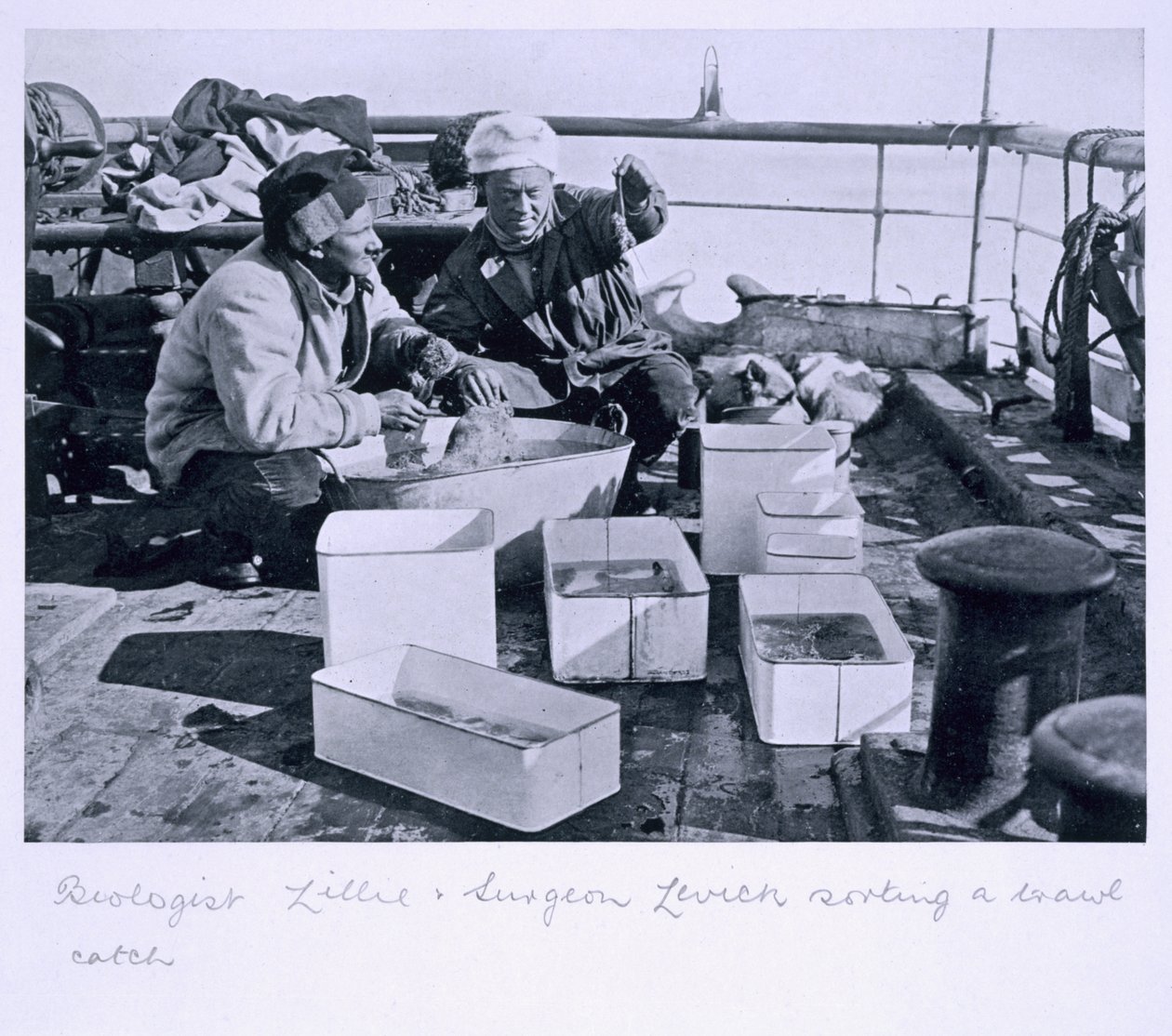 Biologen Lillie och kirurgen Levick sorterar en trålfångst ombord på "Terra Nova" från "Scotts sista expedition". av Herbert Ponting