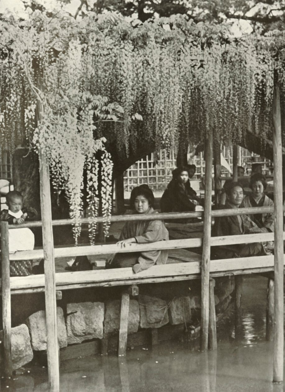 A Wisteria Arbor vid Kameido, 1910. av Herbert Ponting