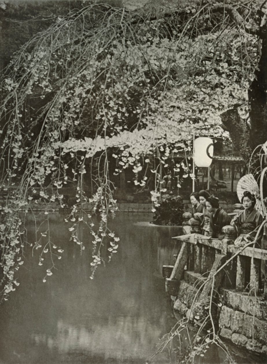 Cherry-Blossom Time i Japan, 1910. av Herbert Ponting