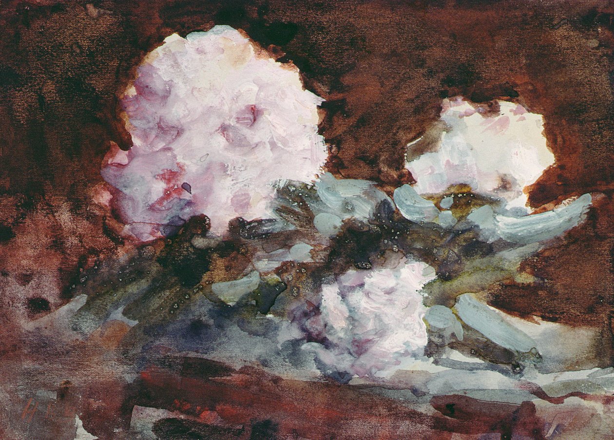 Rhododendron (akvarell) av Hercules Brabazon Brabazon