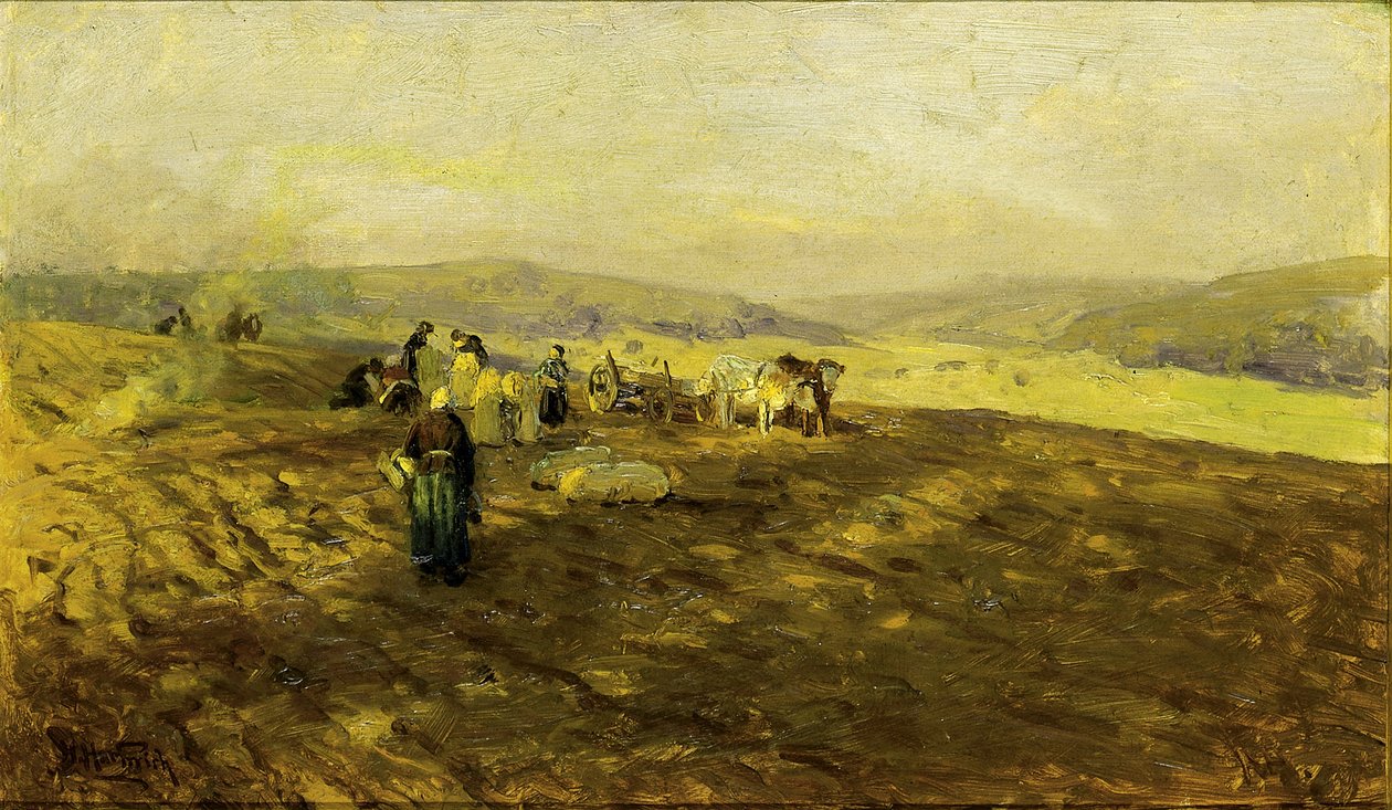 Potatisskördare av Herman Hartwich