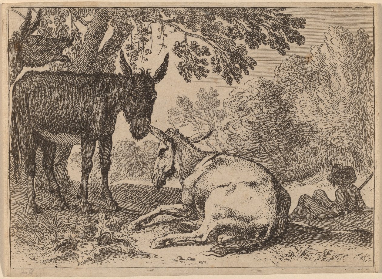 Åsnor av Herman van Swanevelt