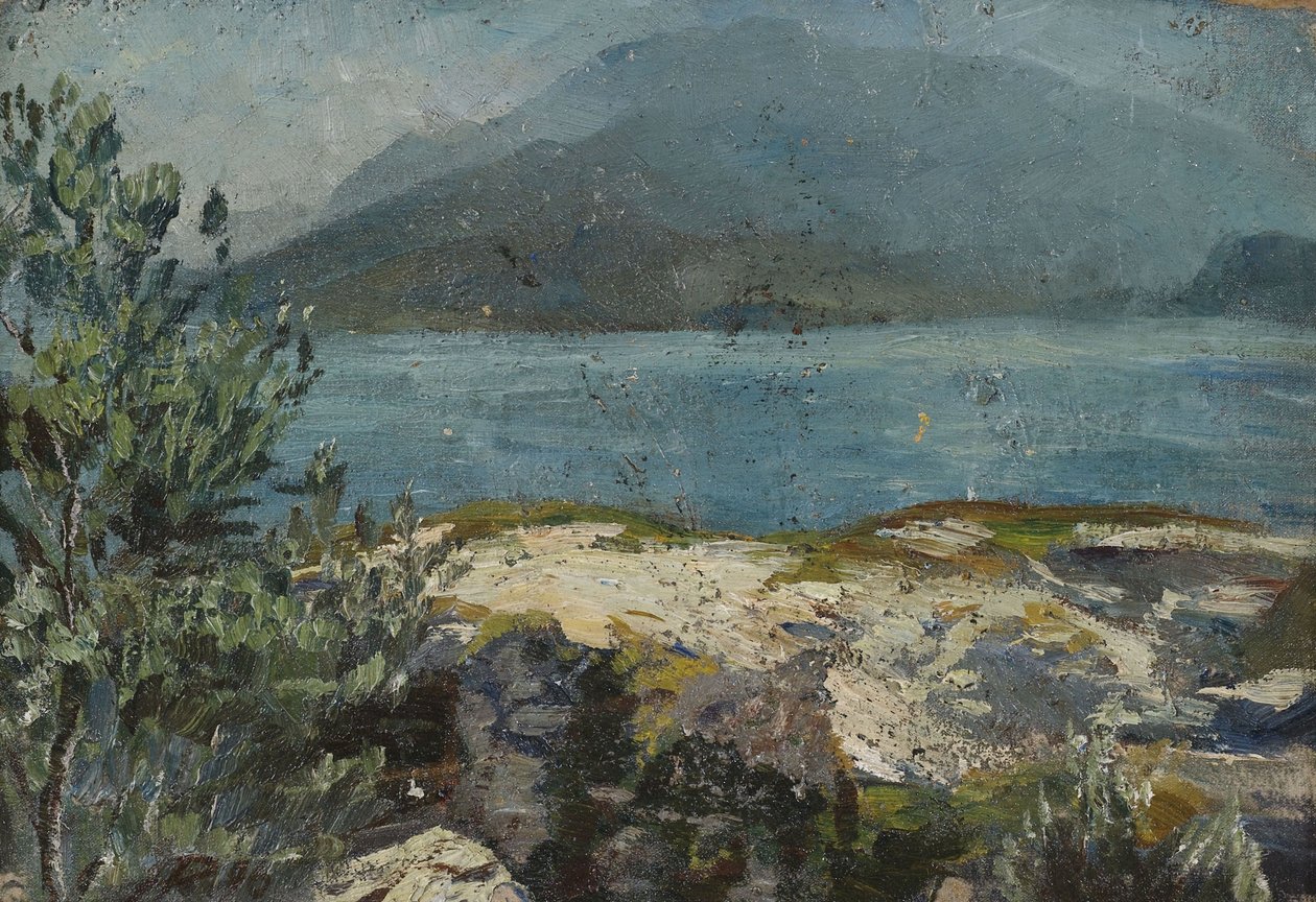 Sommerliches Seeufer av Hermann Pleuer