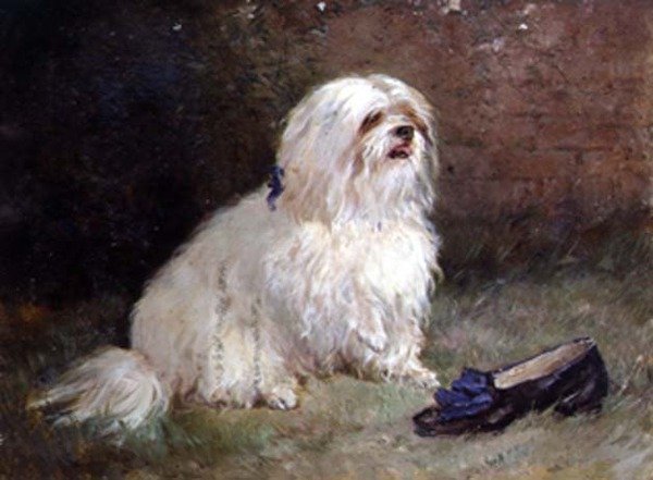 En maltesisk terrier av Heywood Hardy
