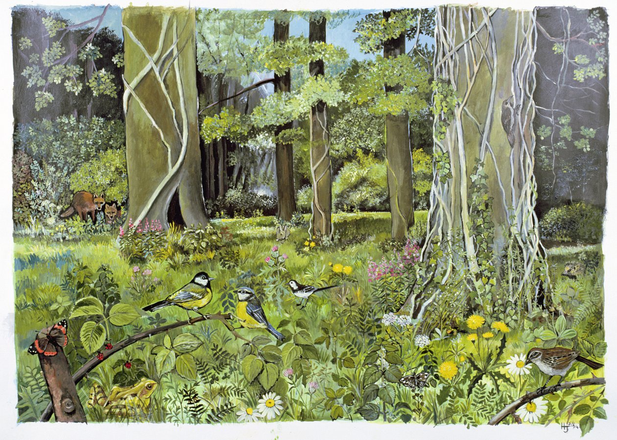 Behind the Squires, Devon (akryl på papper) av Hilary Jones