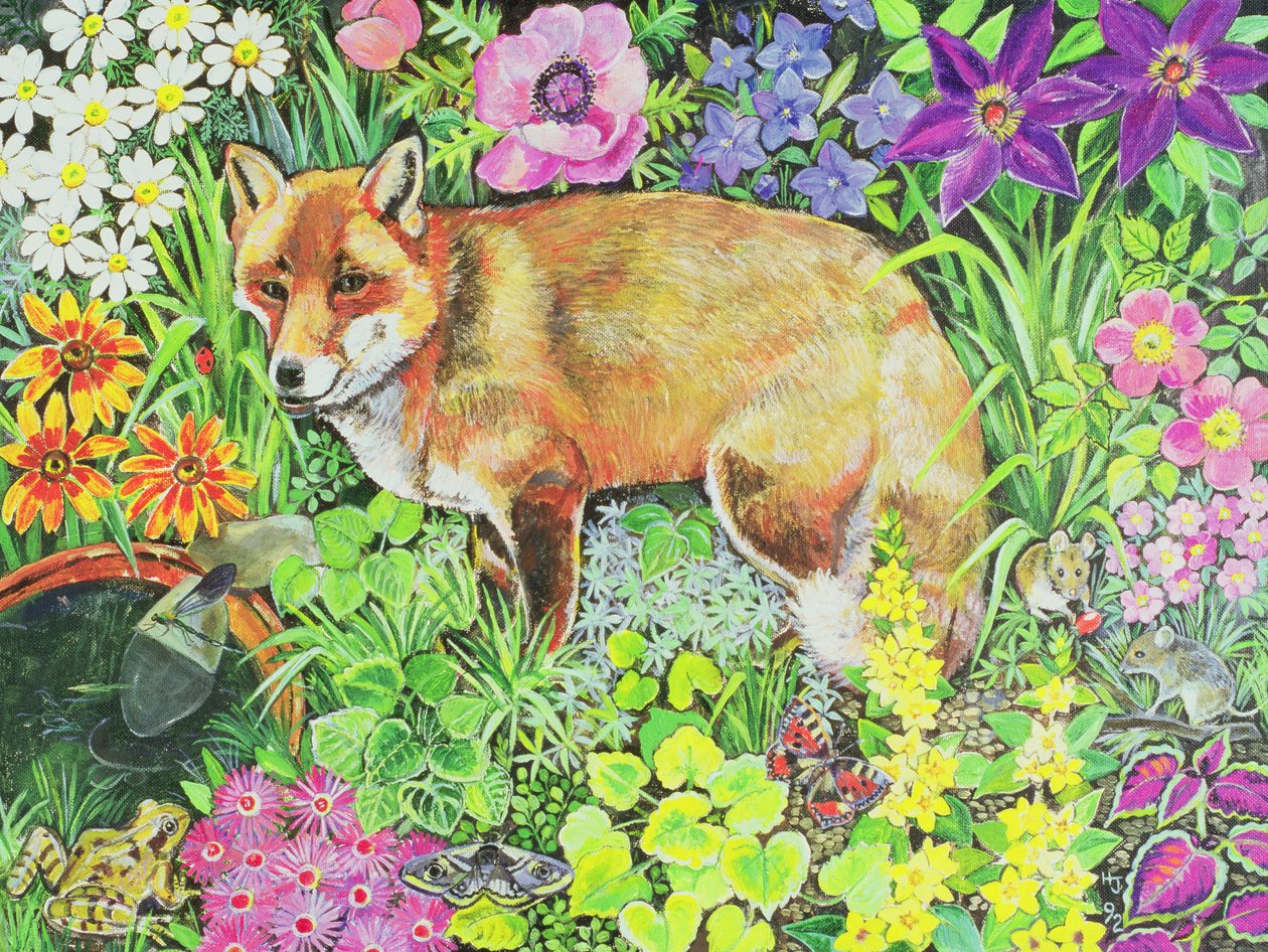 Barnet Fox av Hilary Jones