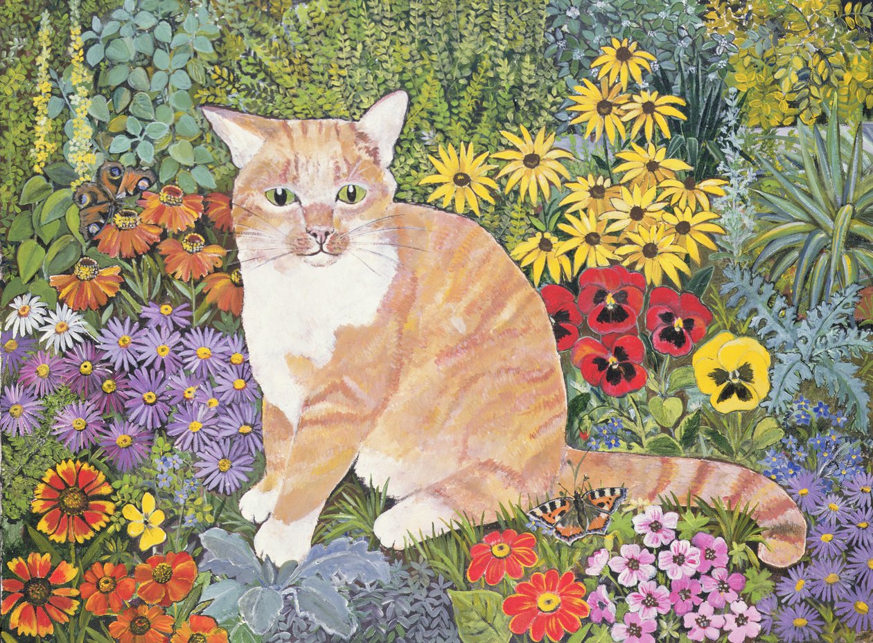 The Carpenters Cat av Hilary Jones