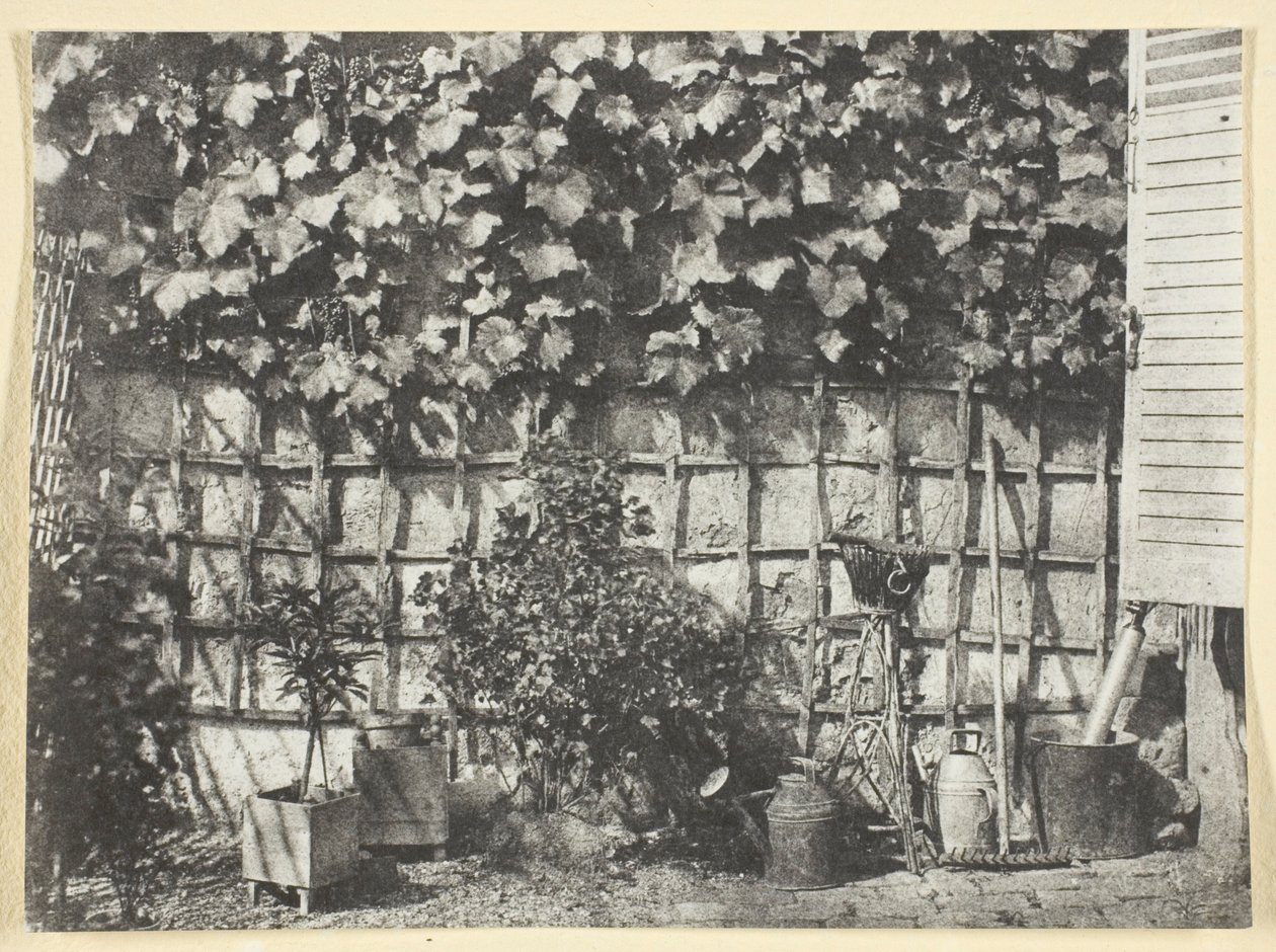 La Treille av Hippolyte Bayard