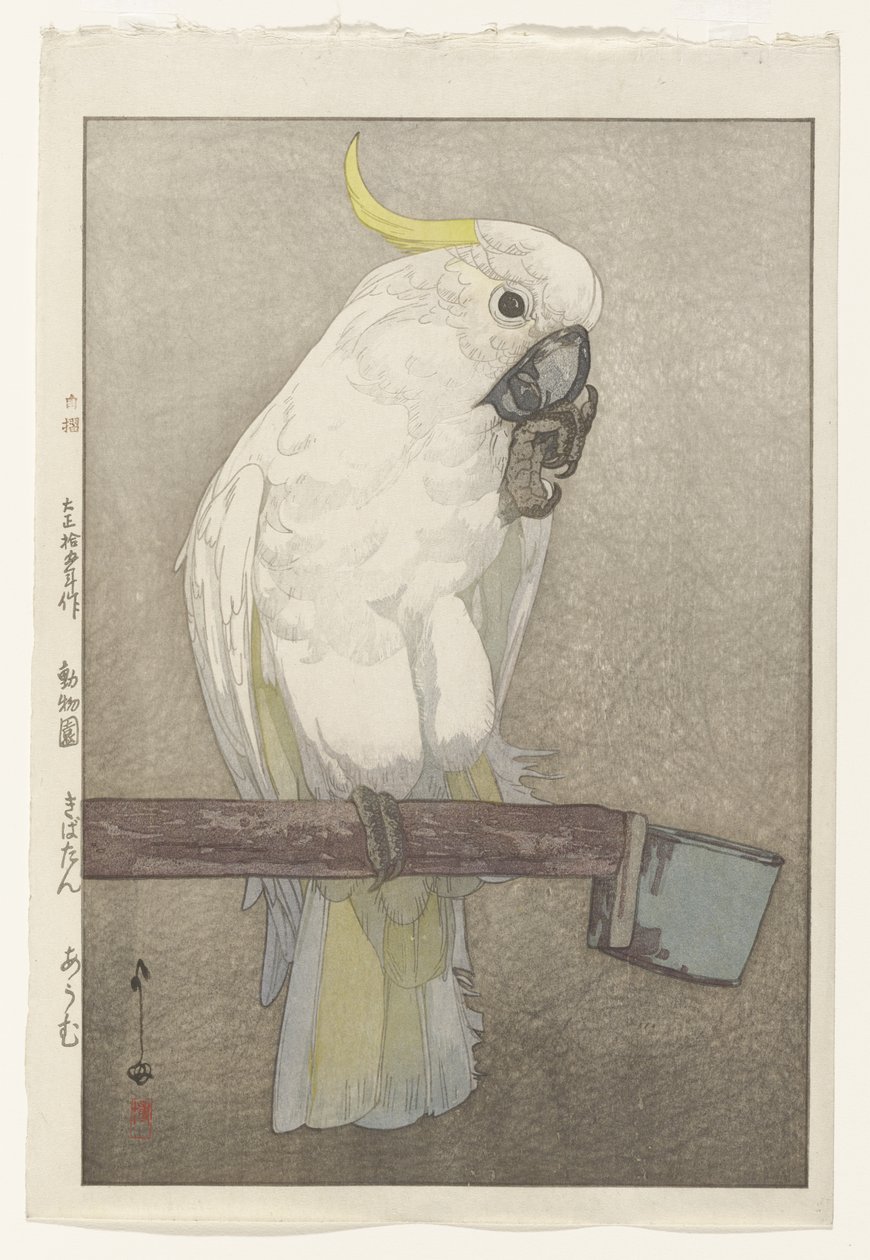 Svavelkrönad kakadua av Hiroshi Yoshida