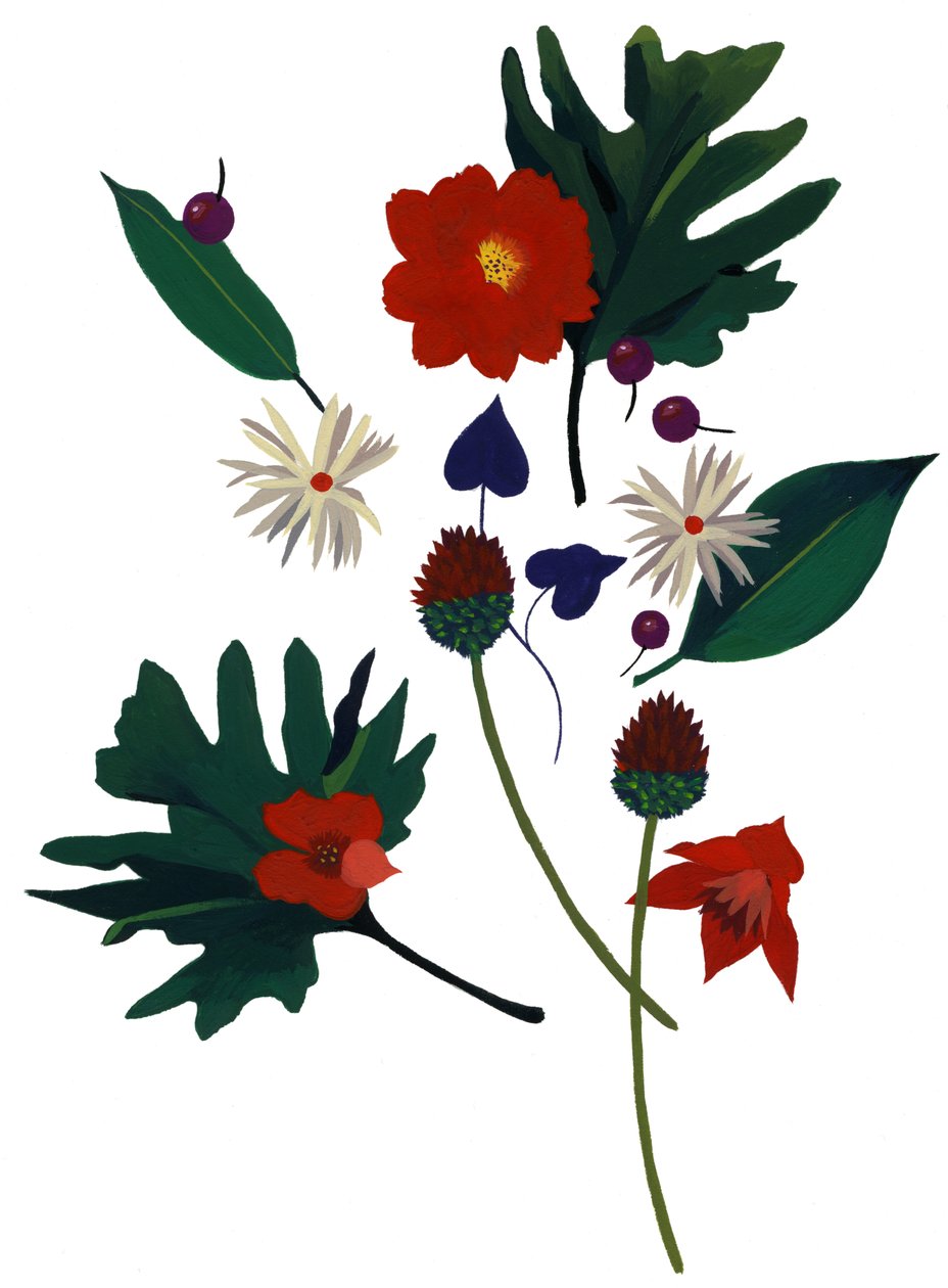 En blomma som får dig att föreställa dig julen. av Hiroyuki Izutsu