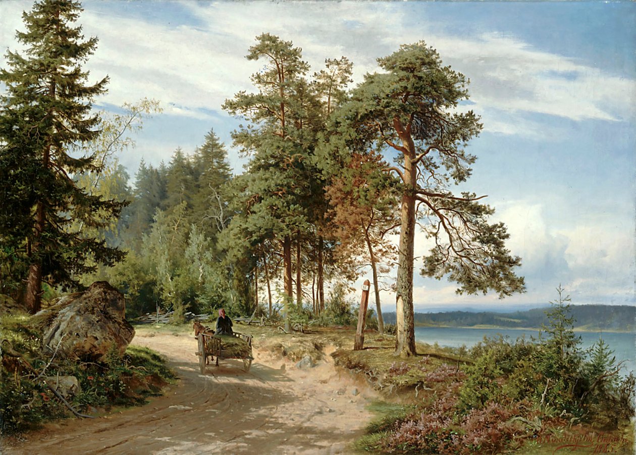 Väg i Finland av Hjalmar Munsterhjelm