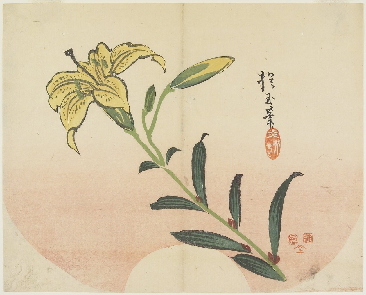 (Lily), 1839 av Hogyoku