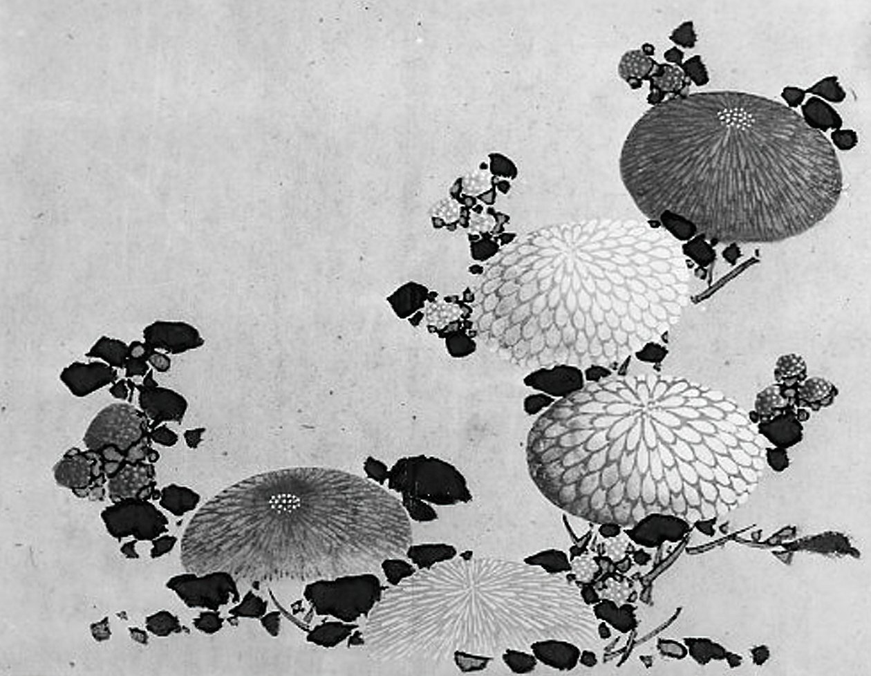 Krysantemum, 1800-talet. av Hokusai School.