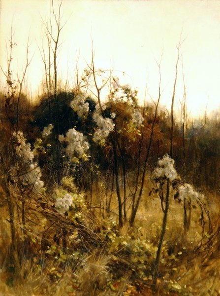 Resenärens glädje av Hon. Walter John James