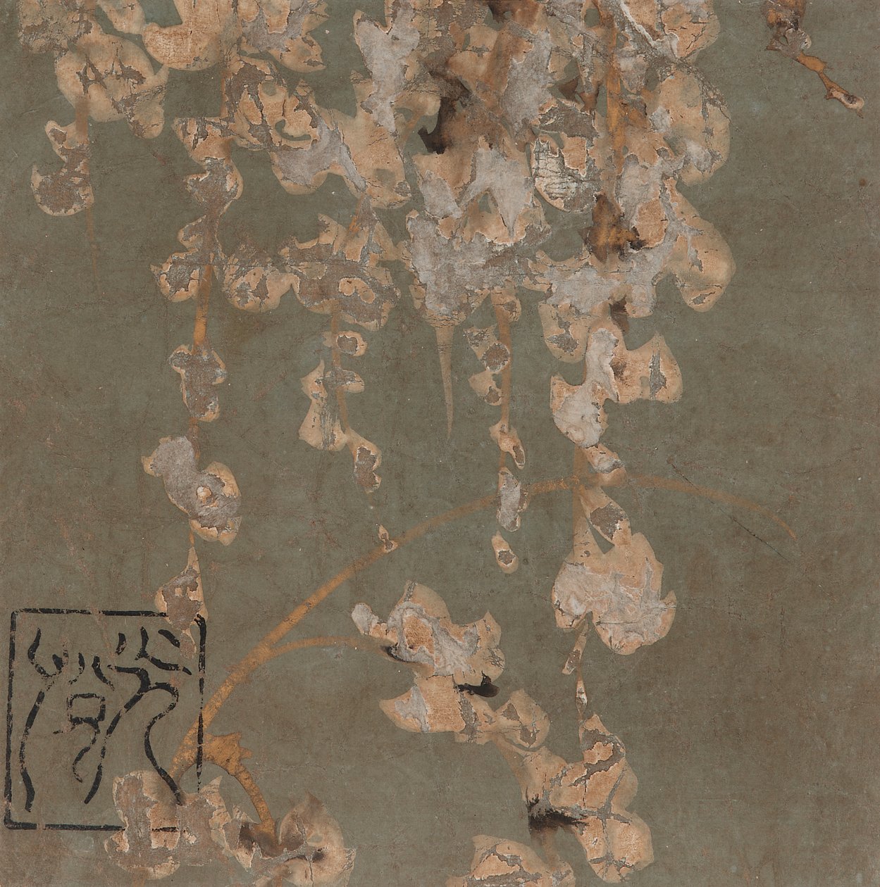 藤の花、江戸時代、17世紀初頭。 スウェーデンの av Hon