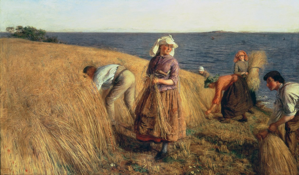 Skörden av Hugh Cameron
