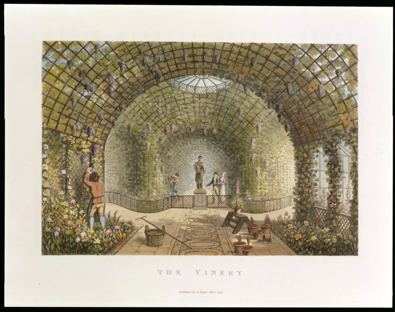 The Vinery, från "Fragment on theory and practice of landscape gardening", pub. 1816 av Humphry Repton