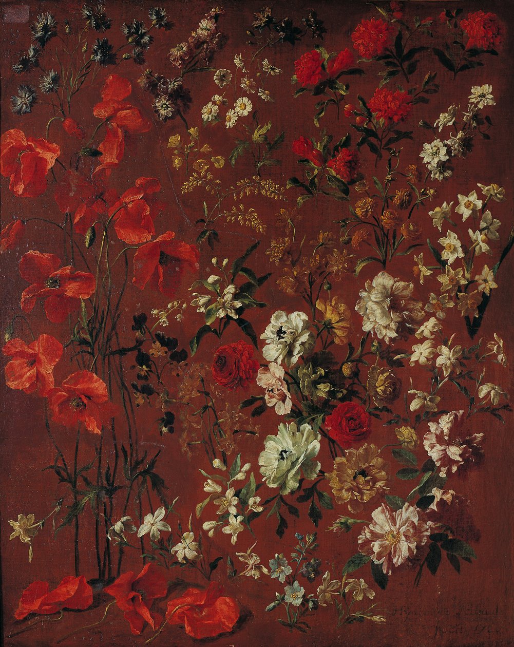 Studie av blommor, 1720 av Hyacinthe Francois Rigaud