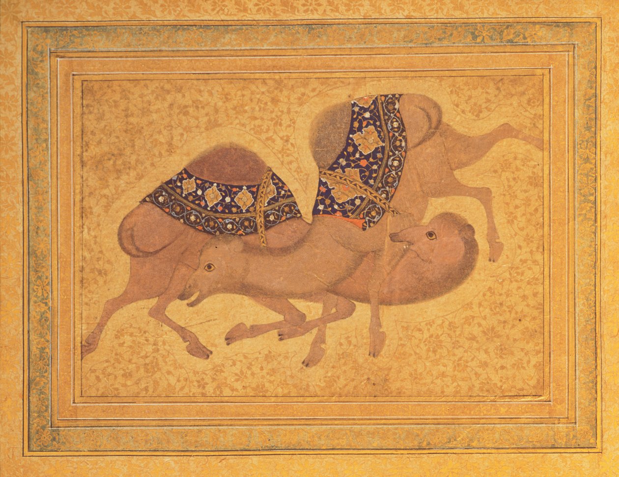 Två kameler slåss, 1620 av Indian School
