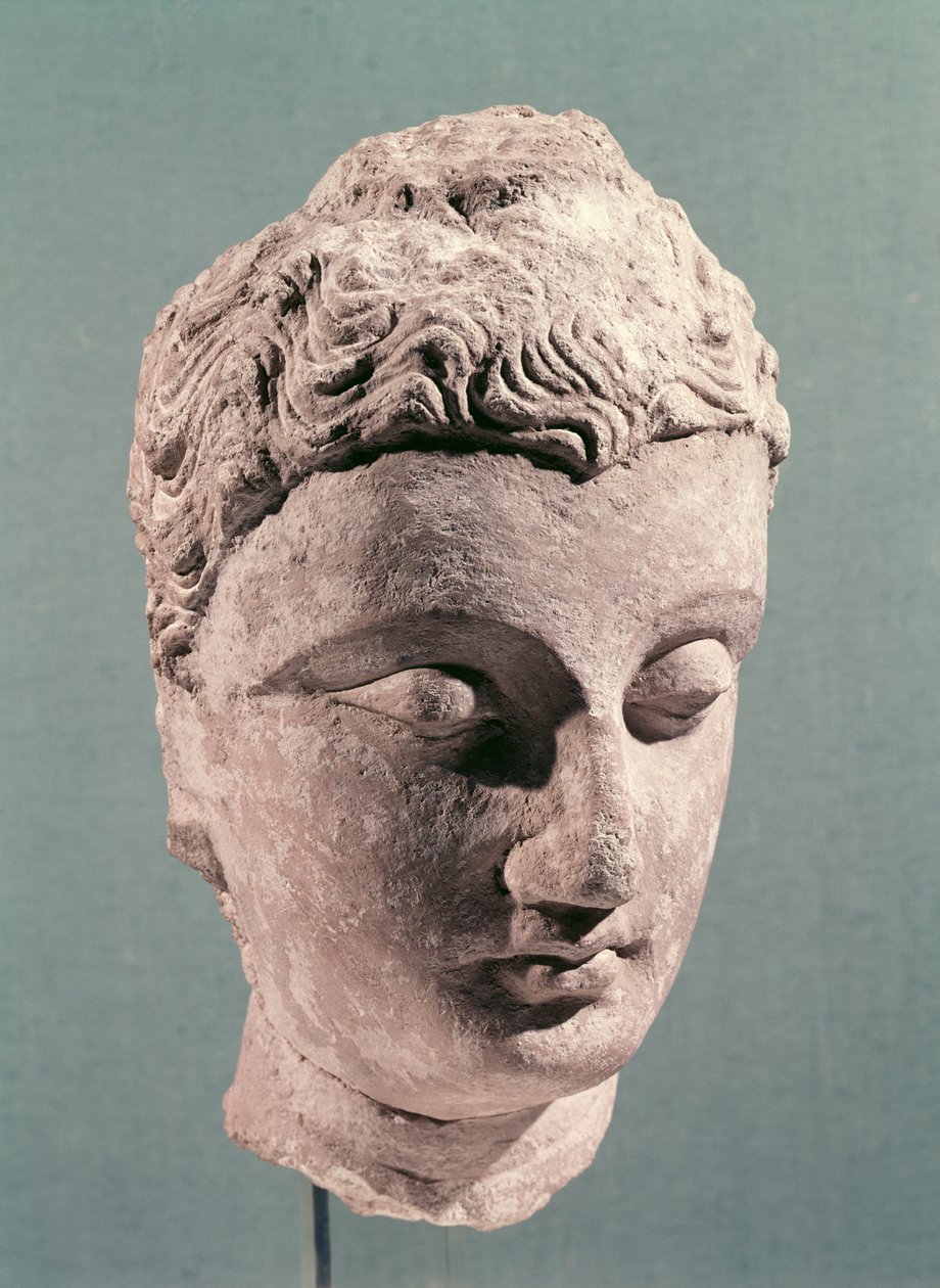 Buddhas huvud, Gandhara, 2:a-4:e århundradet (stuckatur) av Indian School