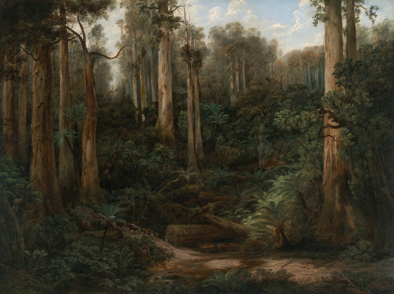 En Sassafras Gully, Gippsland av Isaac Whitehead