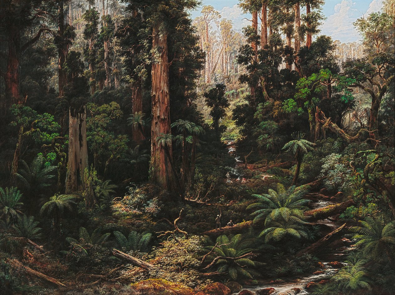 I Sassafras -dalen, Victoria av Isaac Whitehead