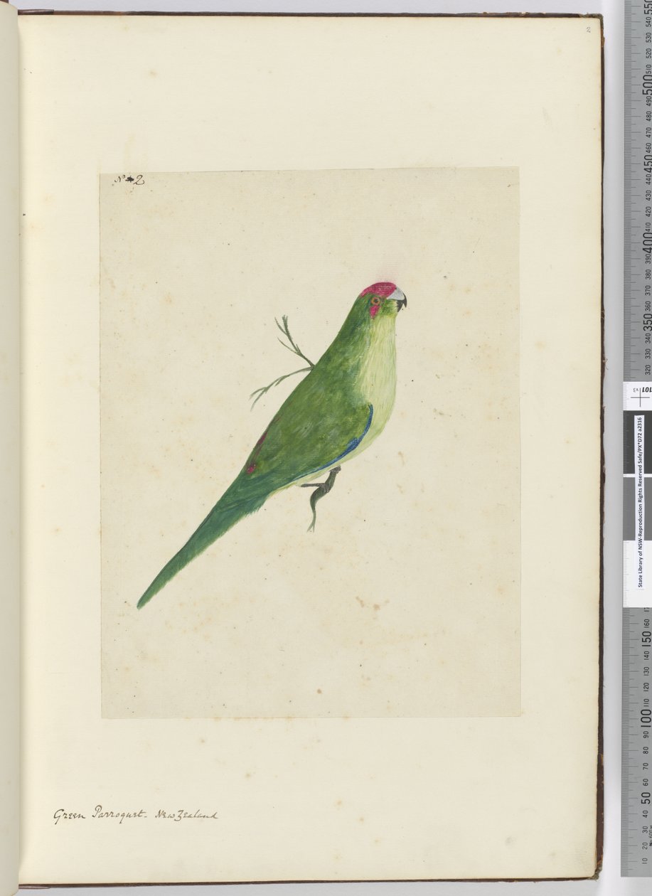 F.2 Grön parkett. Nya Zeeland, 1772-1775 (wc) av Isaac Smith