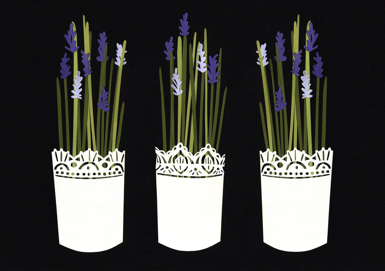 Lavendelkrukor, 2014 (papper) av Isobel Barber