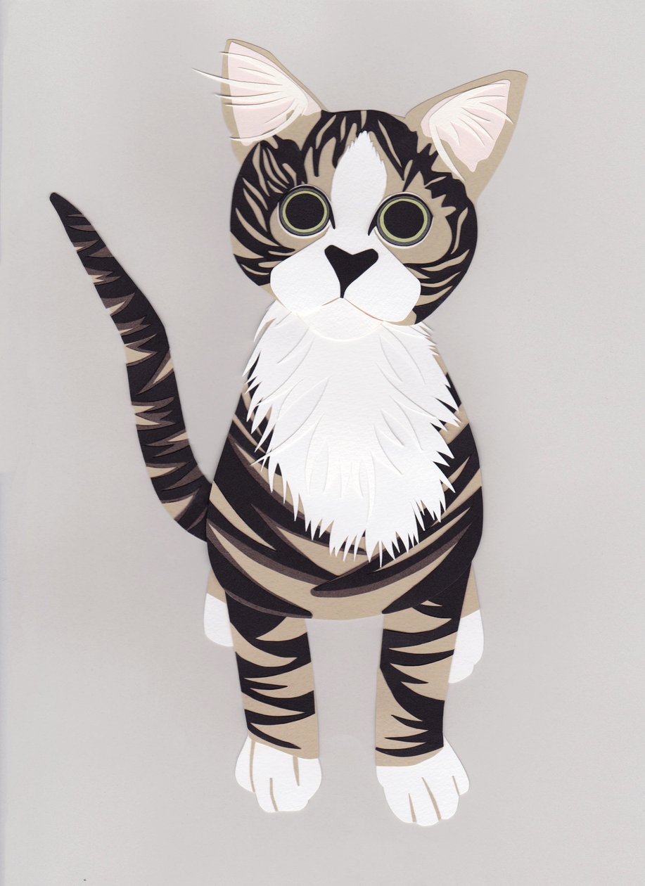 Pussycat, 2016 (papper) av Isobel Barber